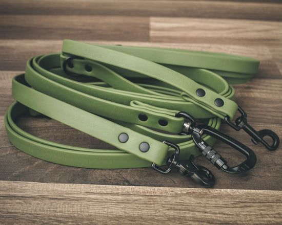 Onyx Olive Leash