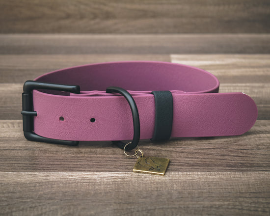 Onyx Plum Buckle Collar 1.5"