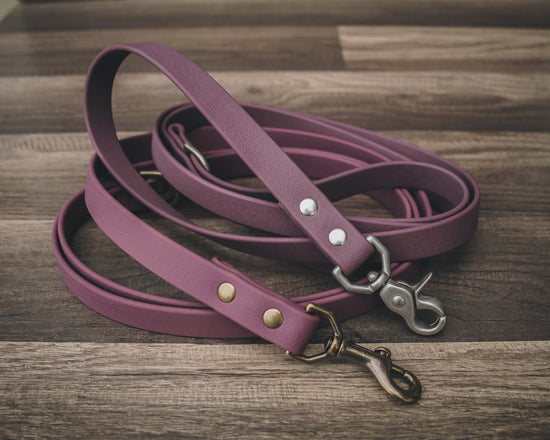 Plum Leash