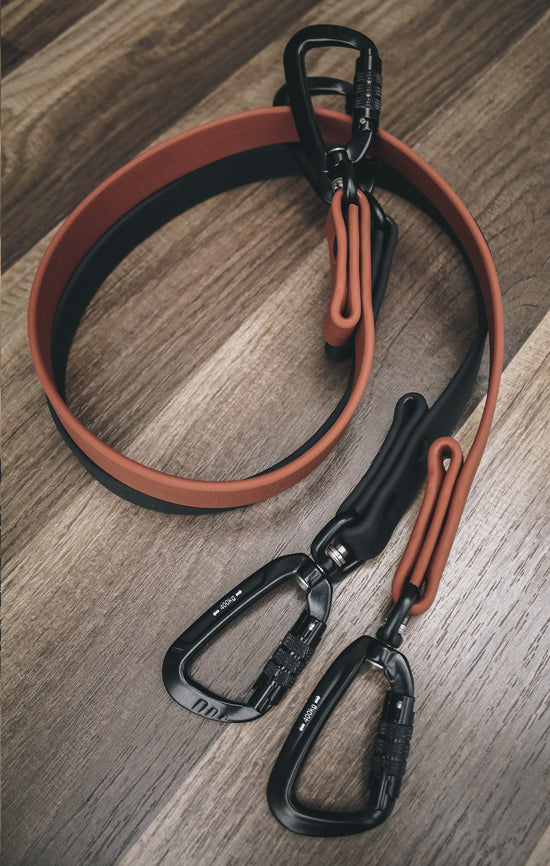 Safety Buckle - All Colors