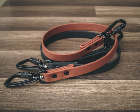 Safety Buckle - All Colors