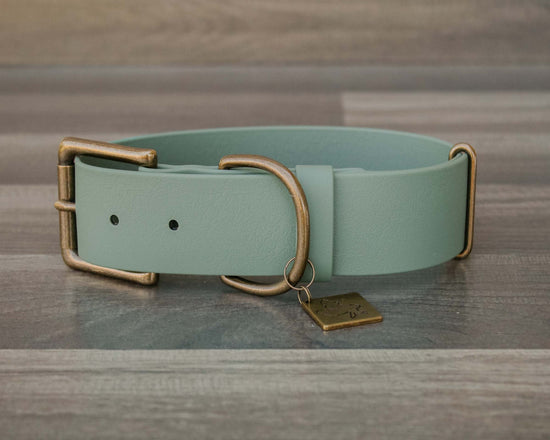 Sage Buckle Collar 1.5"