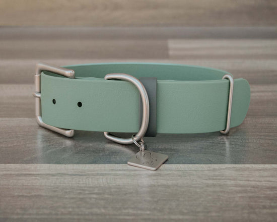 Sage Buckle Collar 1.5"