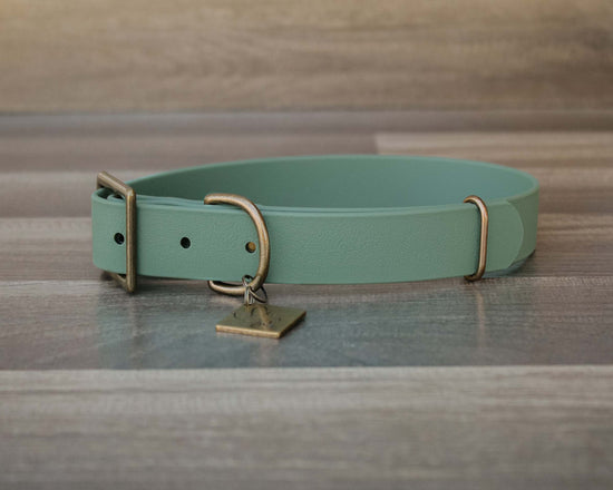 Sage Buckle Collar