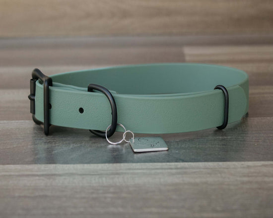 Onyx Sage Buckle Collar