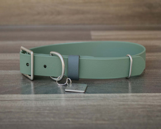 Sage Buckle Collar