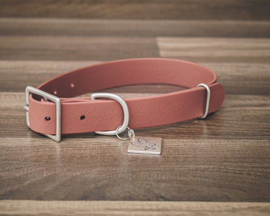 Sienna Buckle Collar