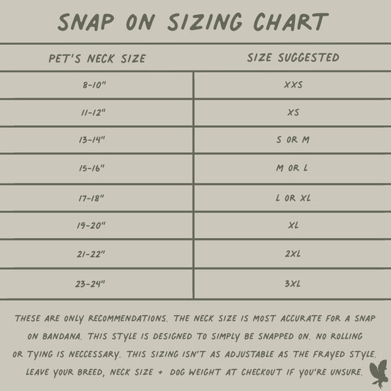 Ripley Flannel Bandana