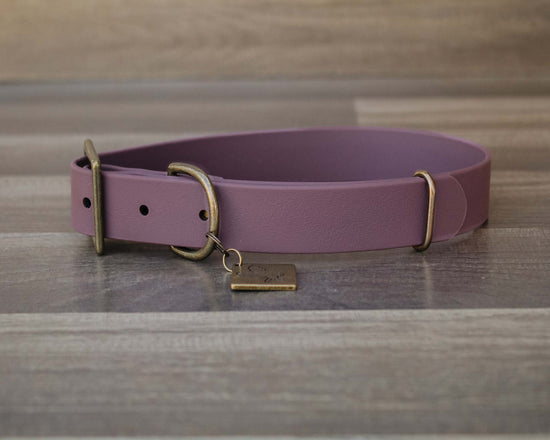 Wisteria Buckle Collar