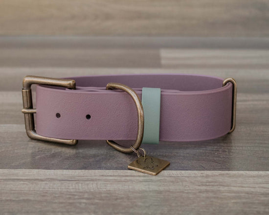 Wisteria Buckle Collar 1.5"