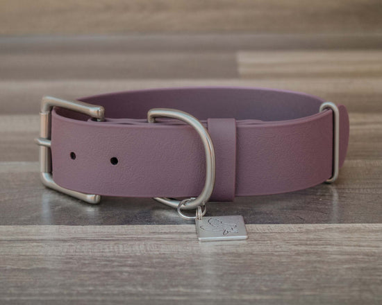 Wisteria Buckle Collar 1.5"