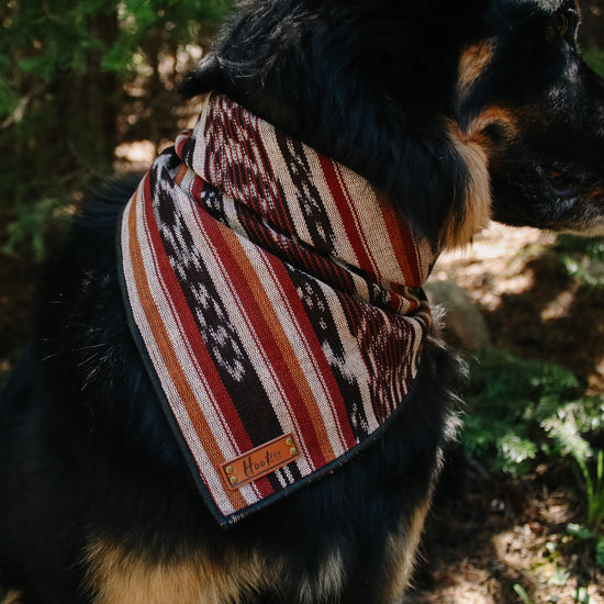 Sedona Bandana