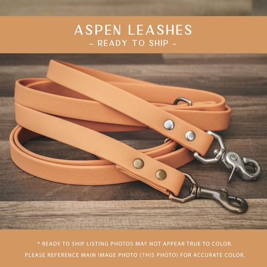 Aspen Leashes