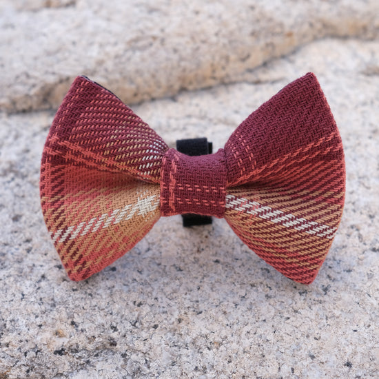 Sierra Bow Tie