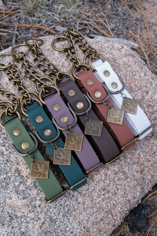 Aspen Martingale Collar