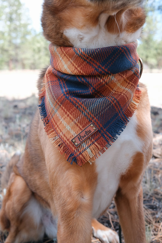 Canyon Bandana