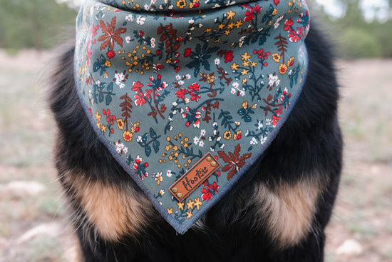 Callie Bandana