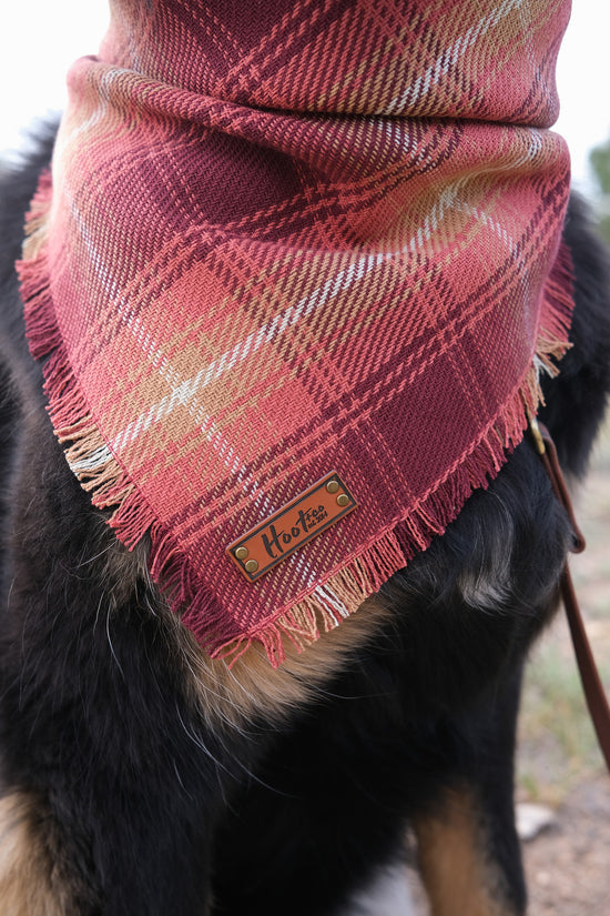 Sierra Bandana