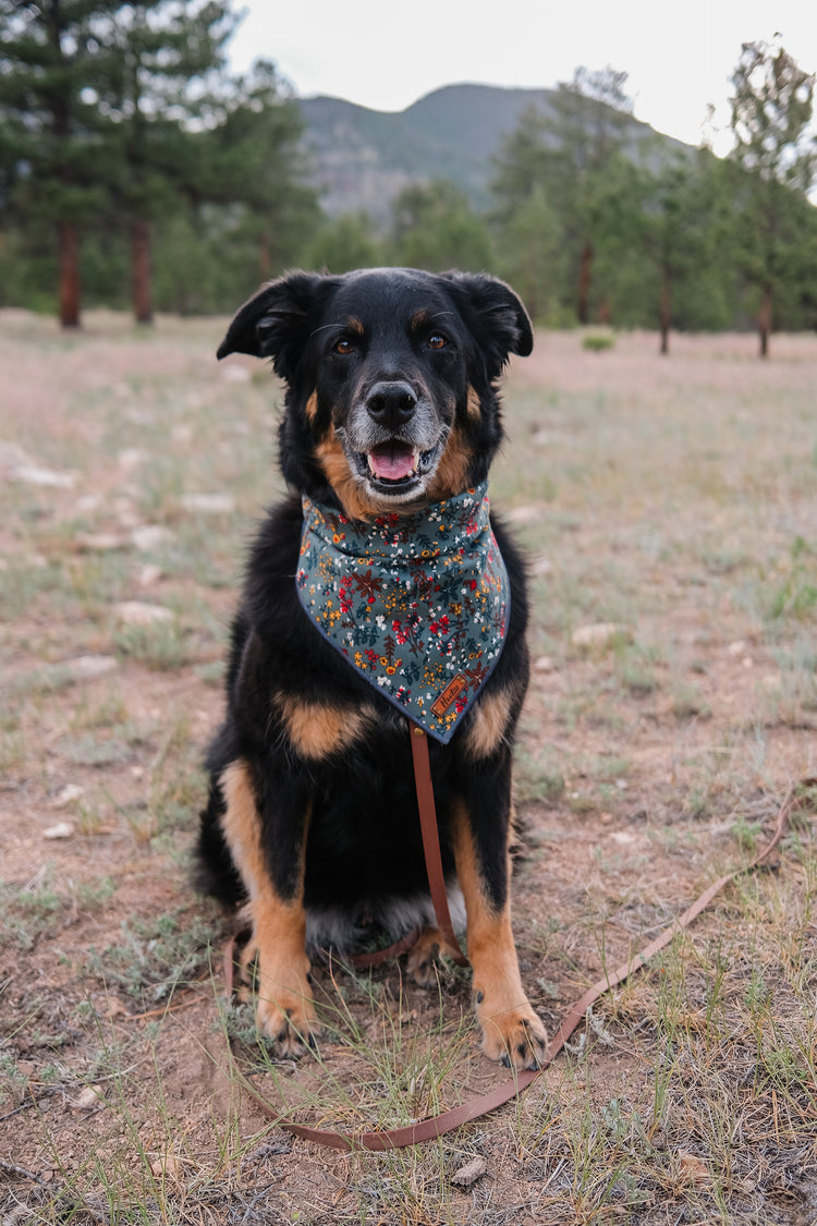 Bandanas
