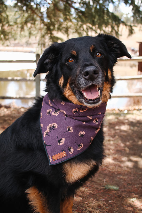 Dandelion Purple Rolled Bandana