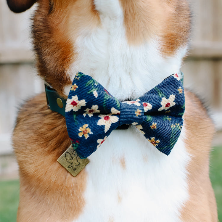 Bow Ties