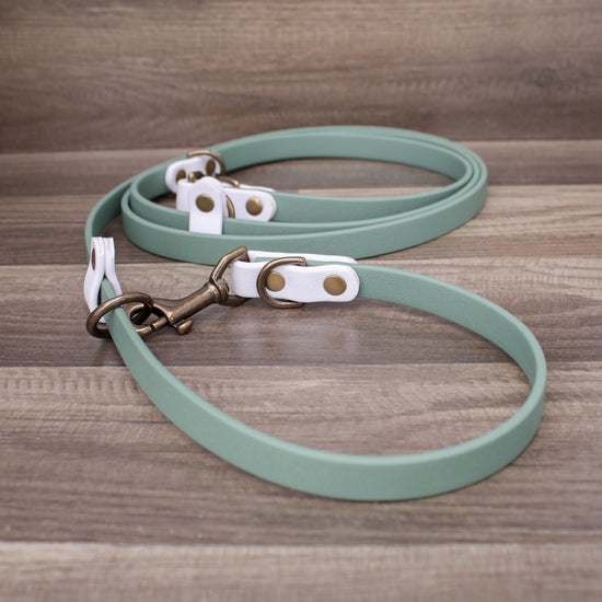Summit Hands Free Leash - Two Tone