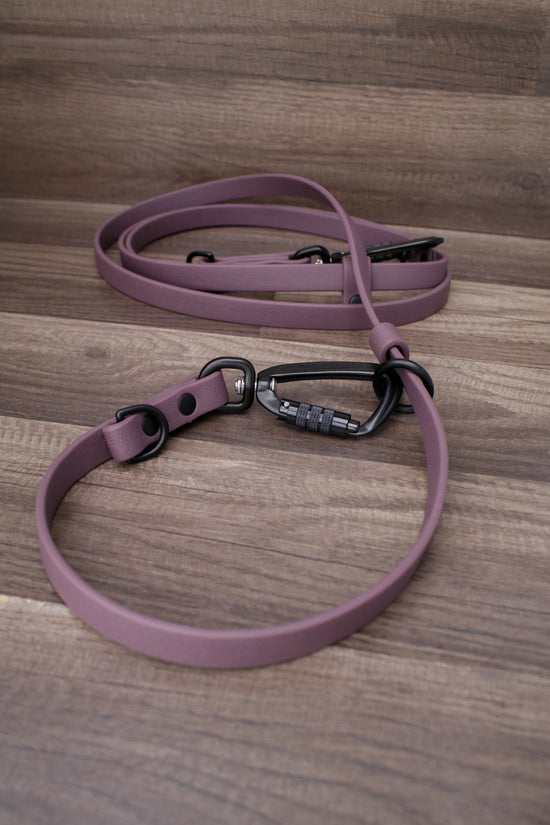 The Onyx Summit Leash 3.0 / All-in-one + Hands Free - Solid Color