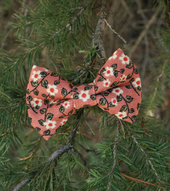 Zinnia Blush Bow Tie