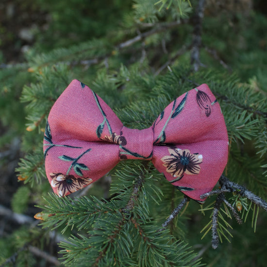 Daphne Bow Tie