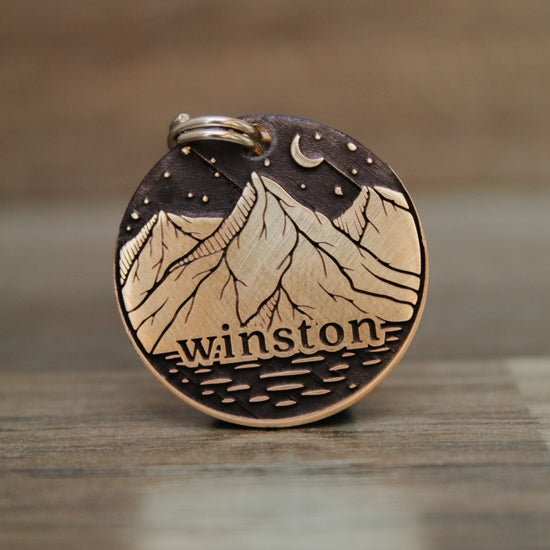 The Winston Pet Tag