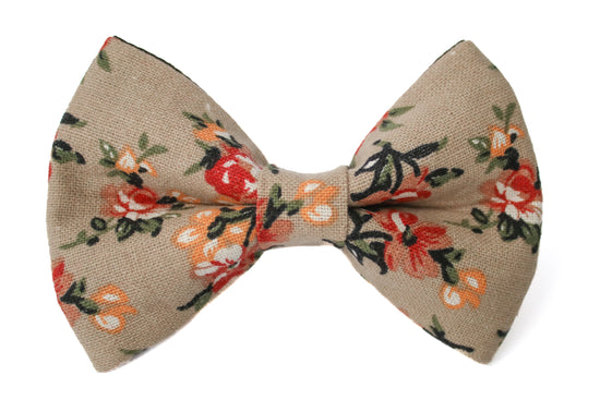 Lively Tan Bow Tie