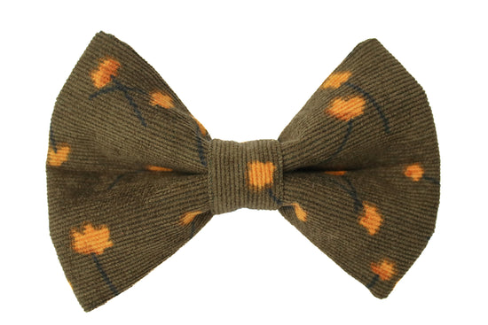 Juniper Bow Tie