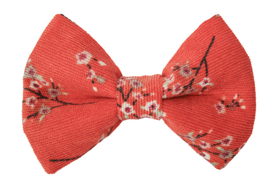 Nola Coral Bow Tie