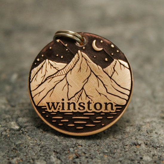 The Winston Pet Tag