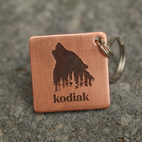 The Kodiak Pet Tag