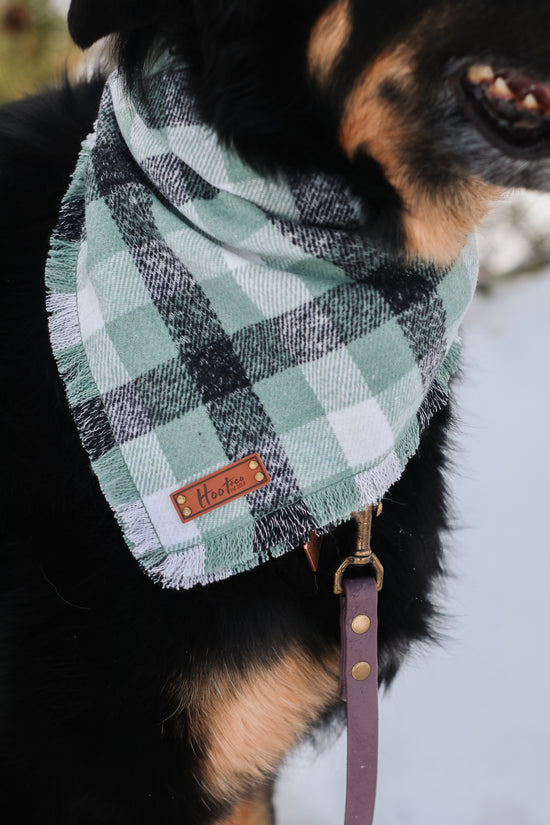 Sage Bandana