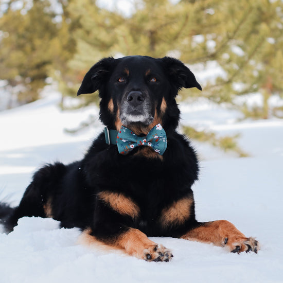 Magnolia Bow Tie