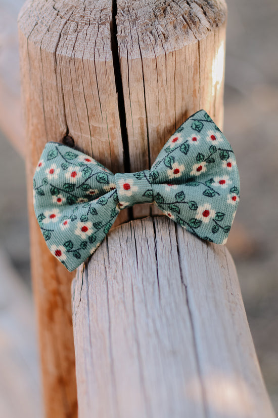 Zinnia Sage Bow Tie