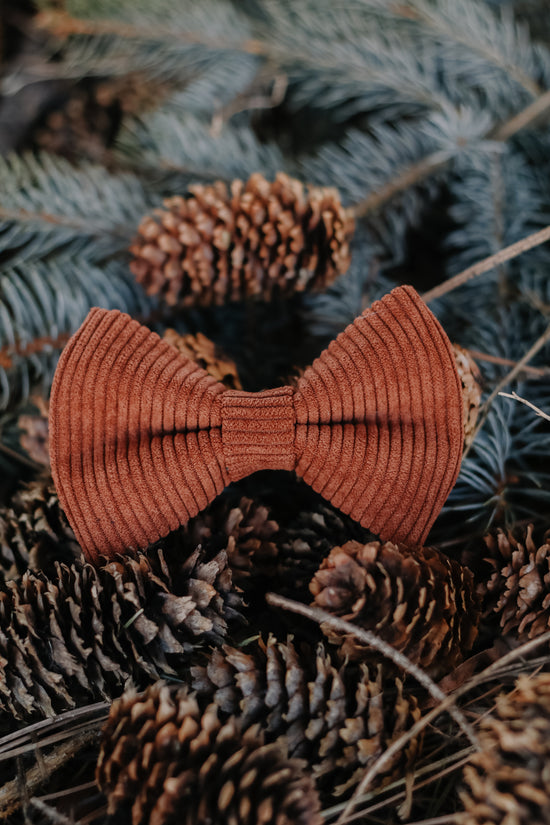 Corduroy Bow Tie - Rust