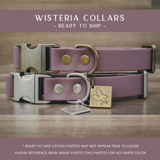 Wisteria Collars