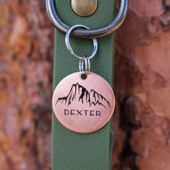 Dexter Pet Tag