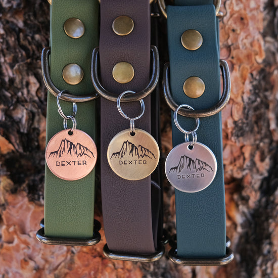 Dexter Pet Tag