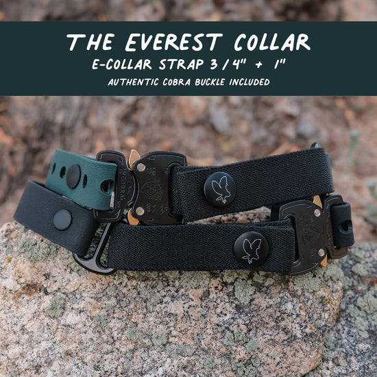 The Everest E Collar Strap