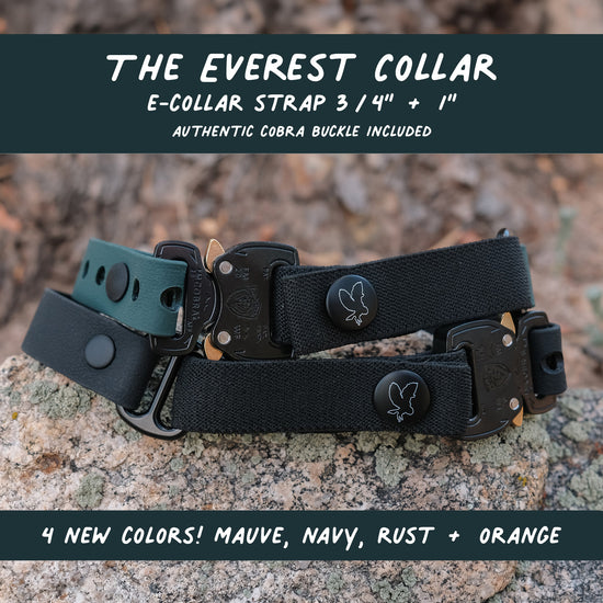 The Everest E Collar Strap