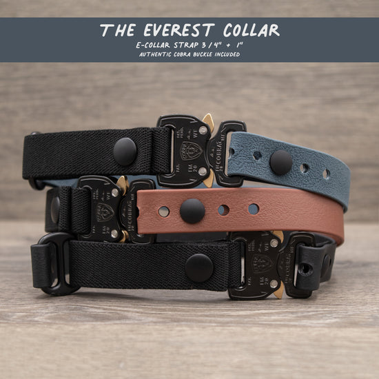 The Everest E Collar Strap