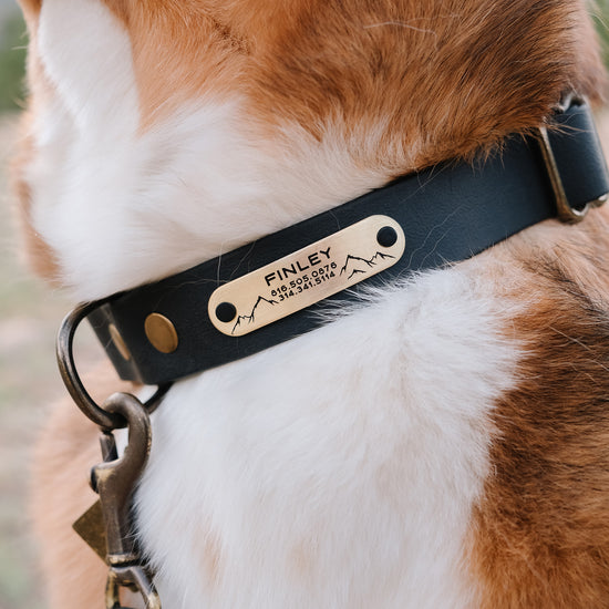Finley Rivet On Tag
