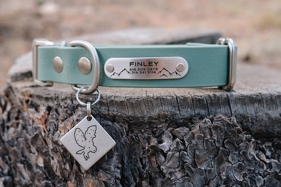 Finley Rivet On Tag