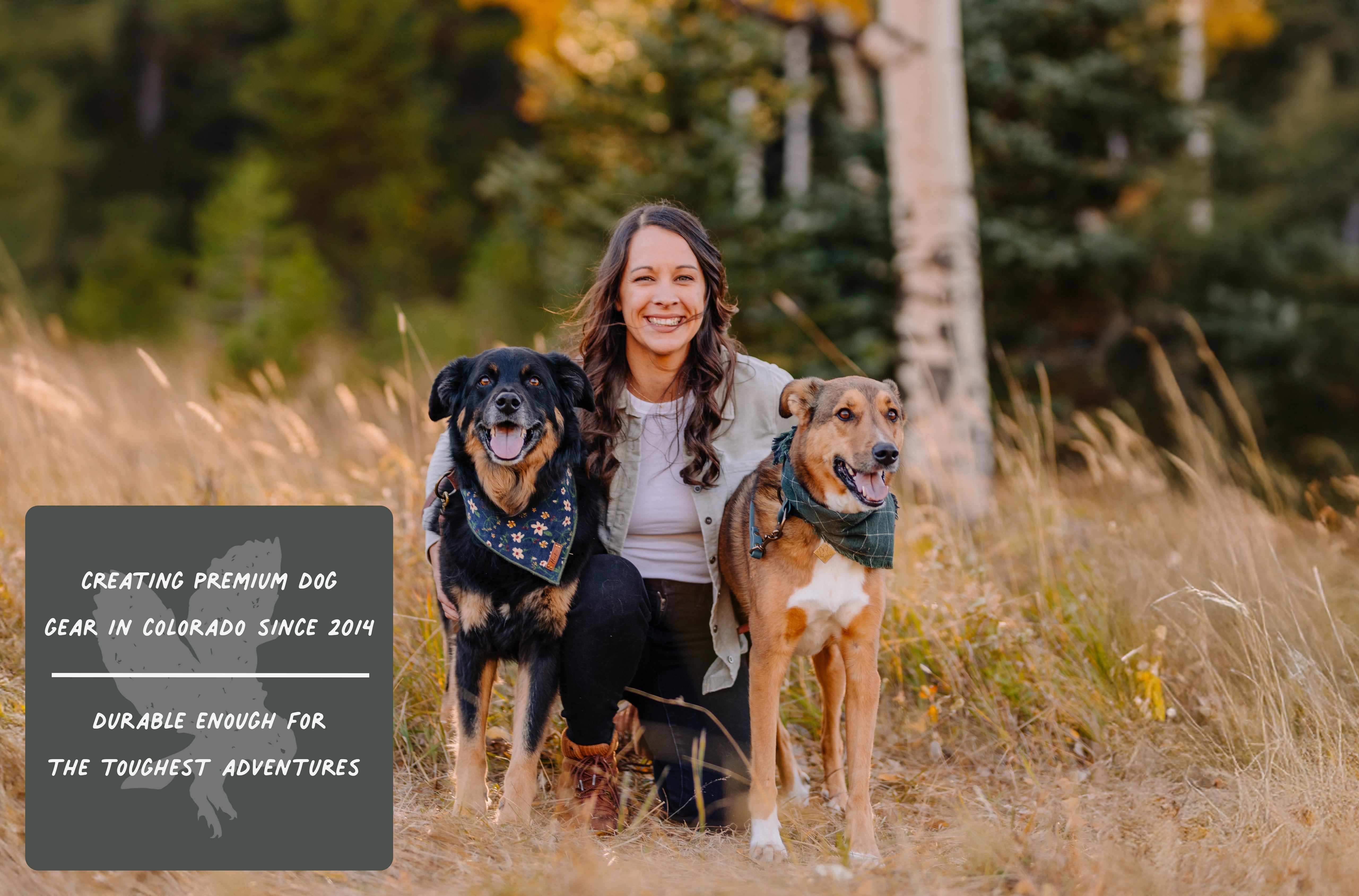 Pet Accessories Store Dog Supplies Online Hoot Co Hoot Co