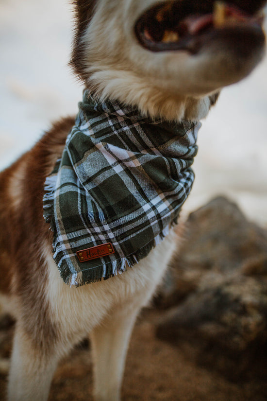 Eden Bandana
