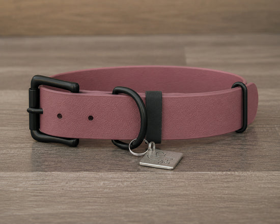 Onyx Mauve Buckle Collar 1.5"